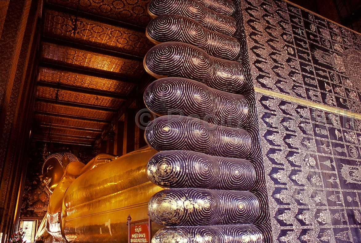 Wat Pho (Temple of the Reclining Buddha), Bangkok, Thailand
 (cod:Thailand 42)